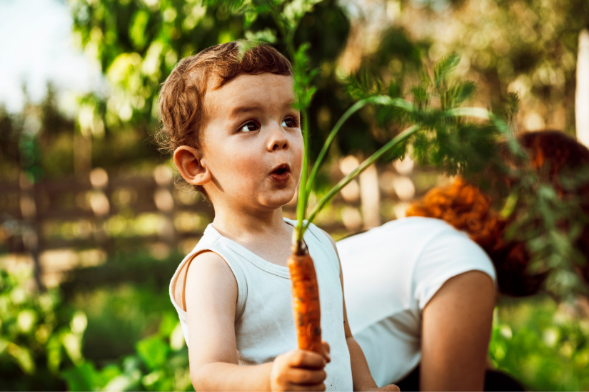 education à l'ecologie