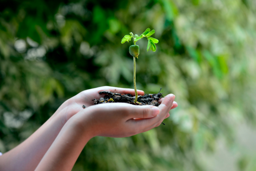 nature et environnement vercors