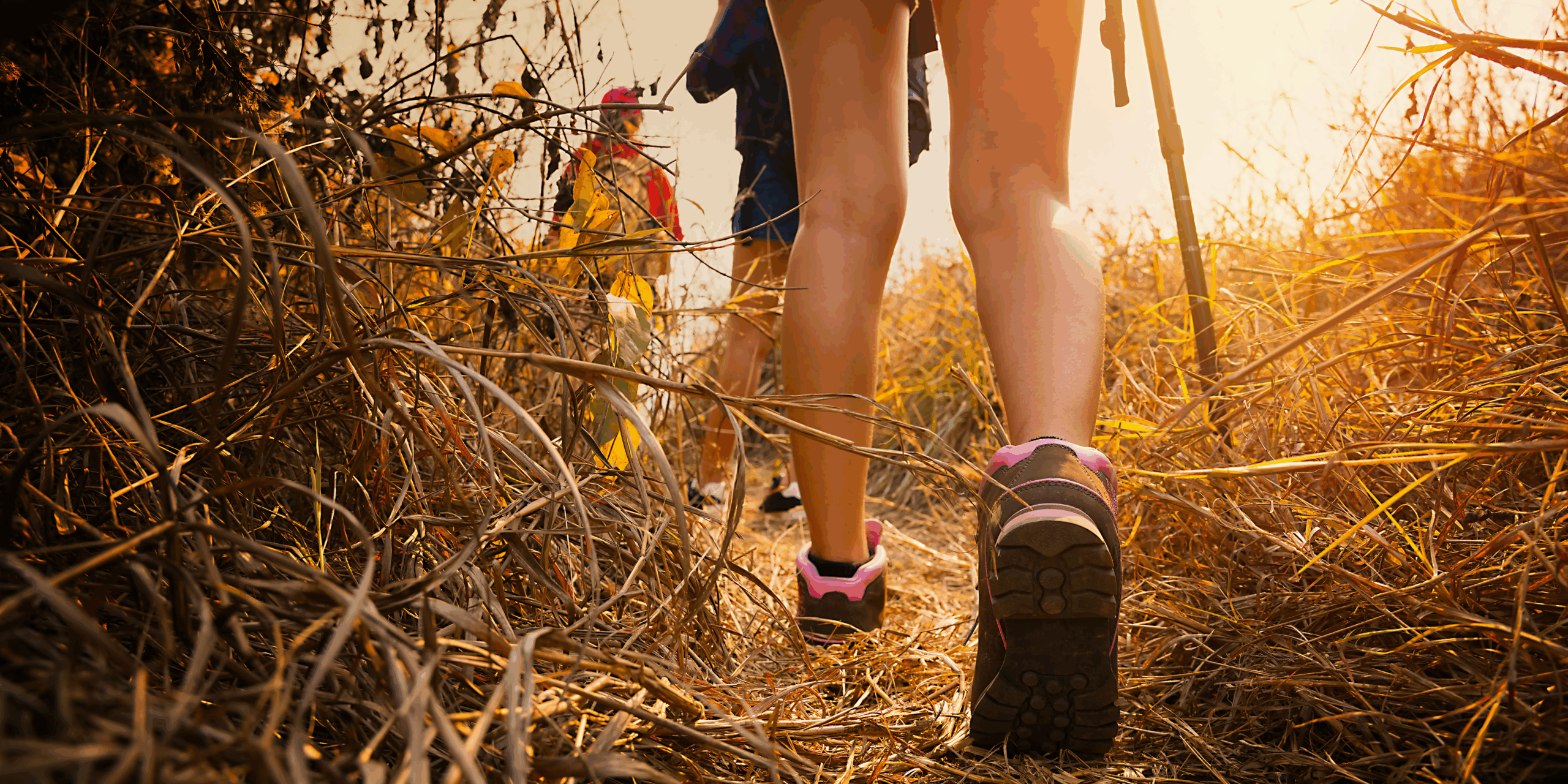 randonnée dans le vercors